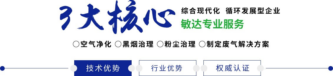 疯狂抽插日韩视频敏达环保科技（嘉兴）有限公司
